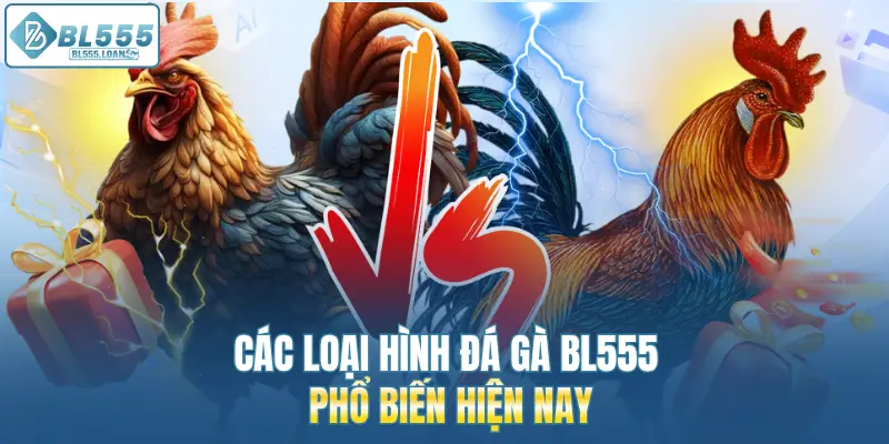 các loại hình đá gà phổ biến