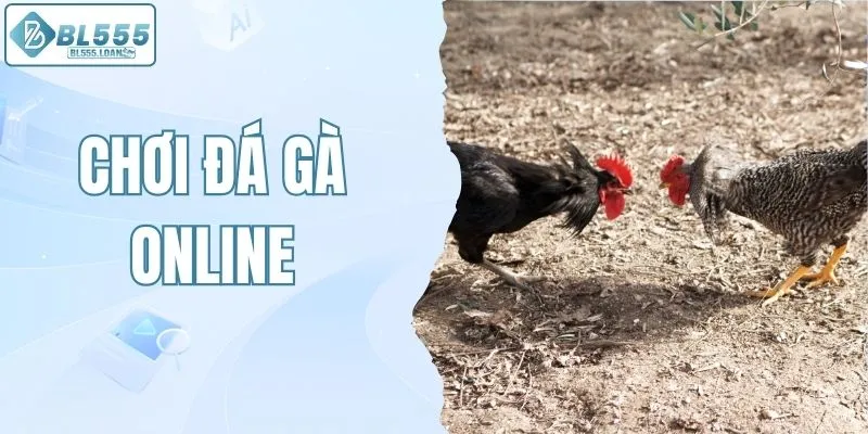 bí kíp chơi đá gà online