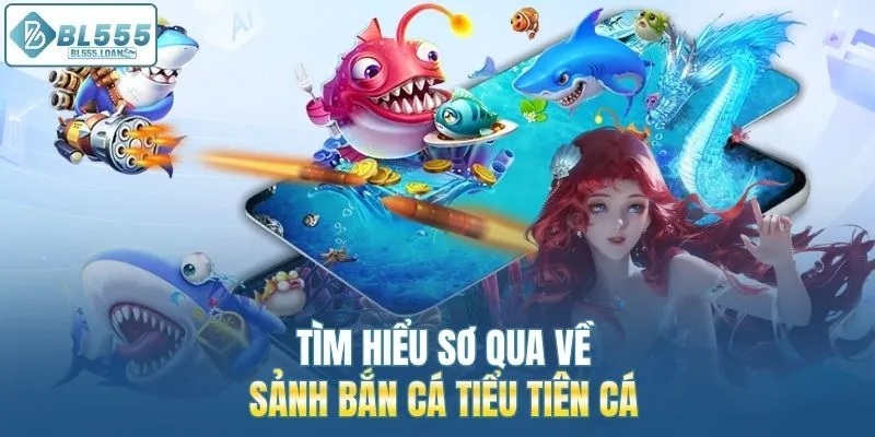 tìm hiểu sơ qua về sảnh